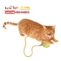 Chargeable Smart Running Ball Toy for Child and Cat thumbnail 5