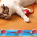 Chargeable Smart Running Ball Toy for Child and Cat thumbnail 6